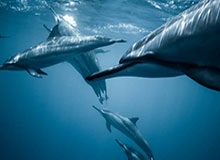 跑得起,住不起,马拉松赛酒店涨价难题如何解决?