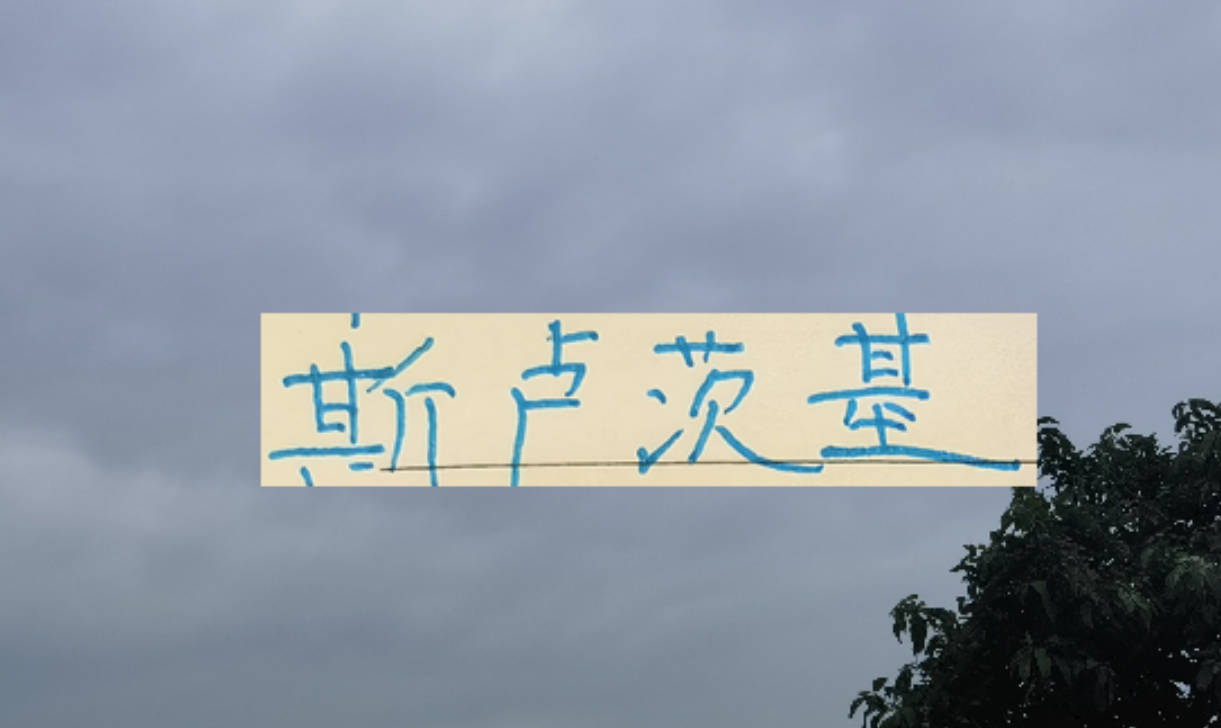 乐鱼体育官方网站-2026赛季!申花“司机”还会三线全力以赴吗